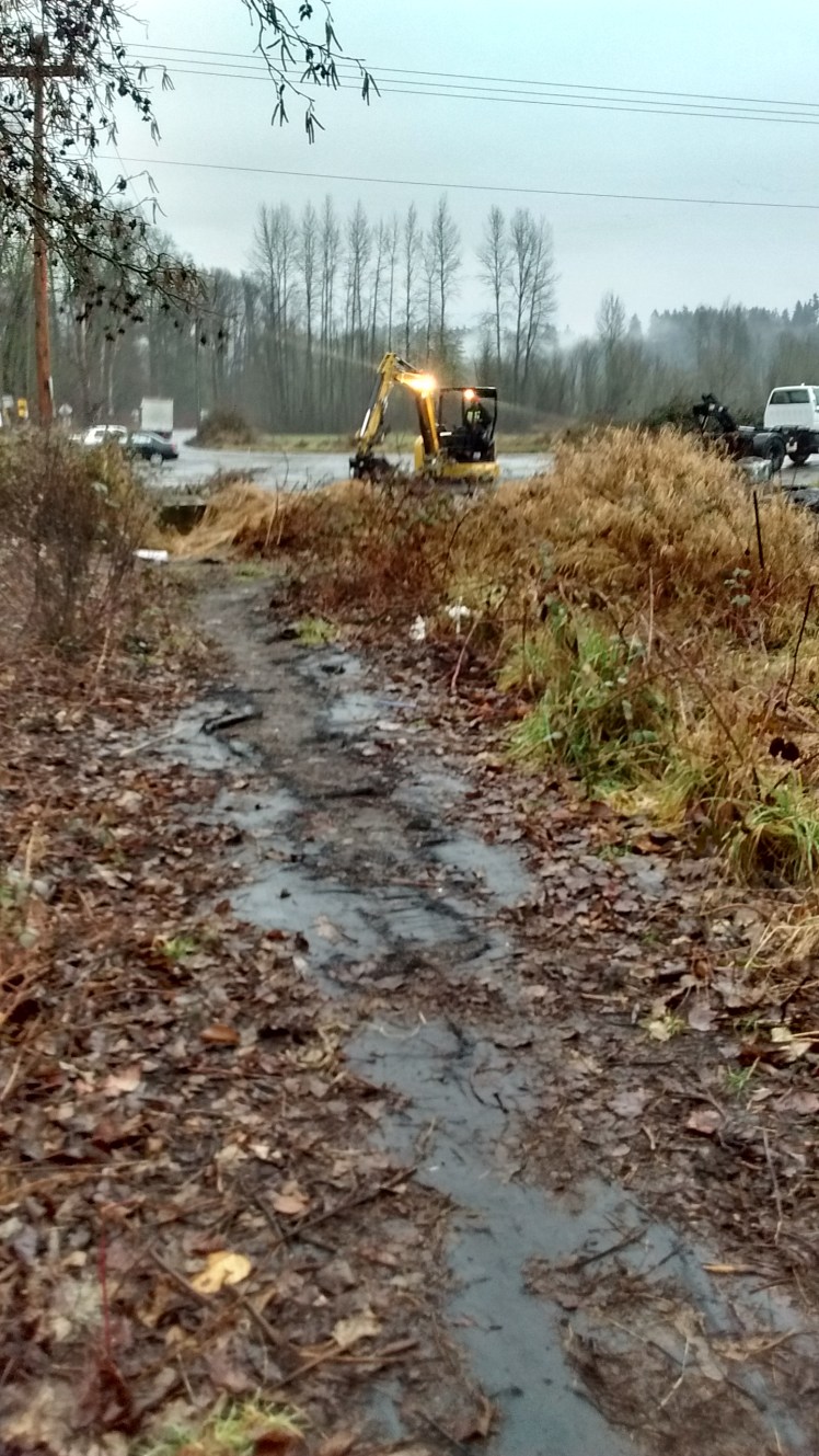 img_20170204_081541630_hdr