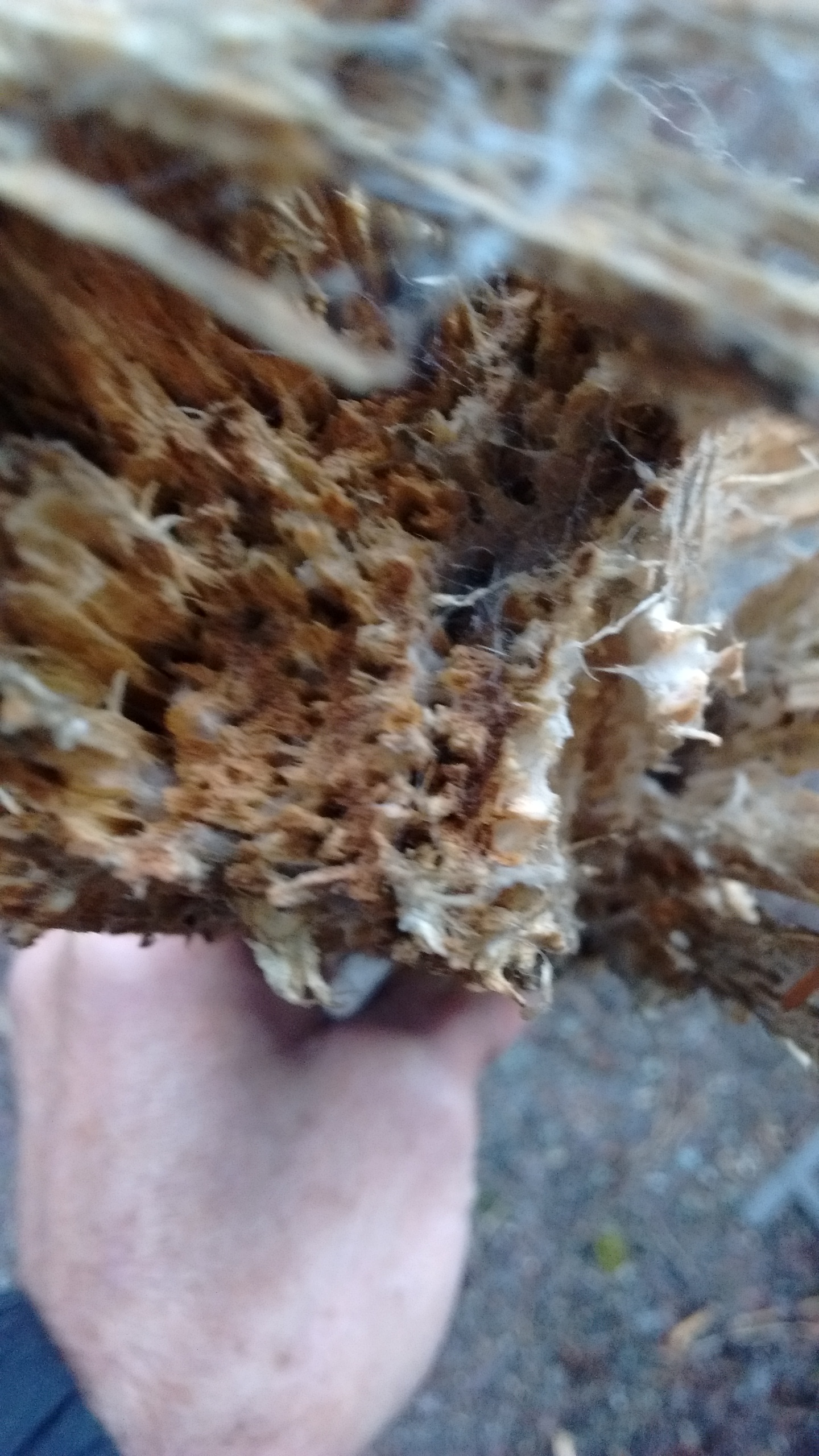 img_20170220_151116564