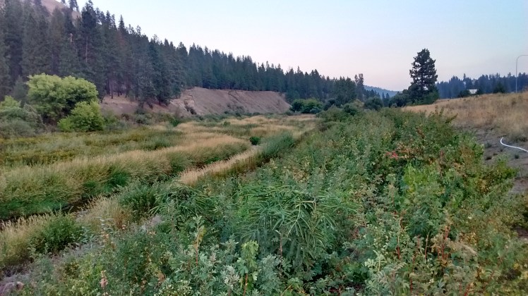 img_20160823_191500182_hdr