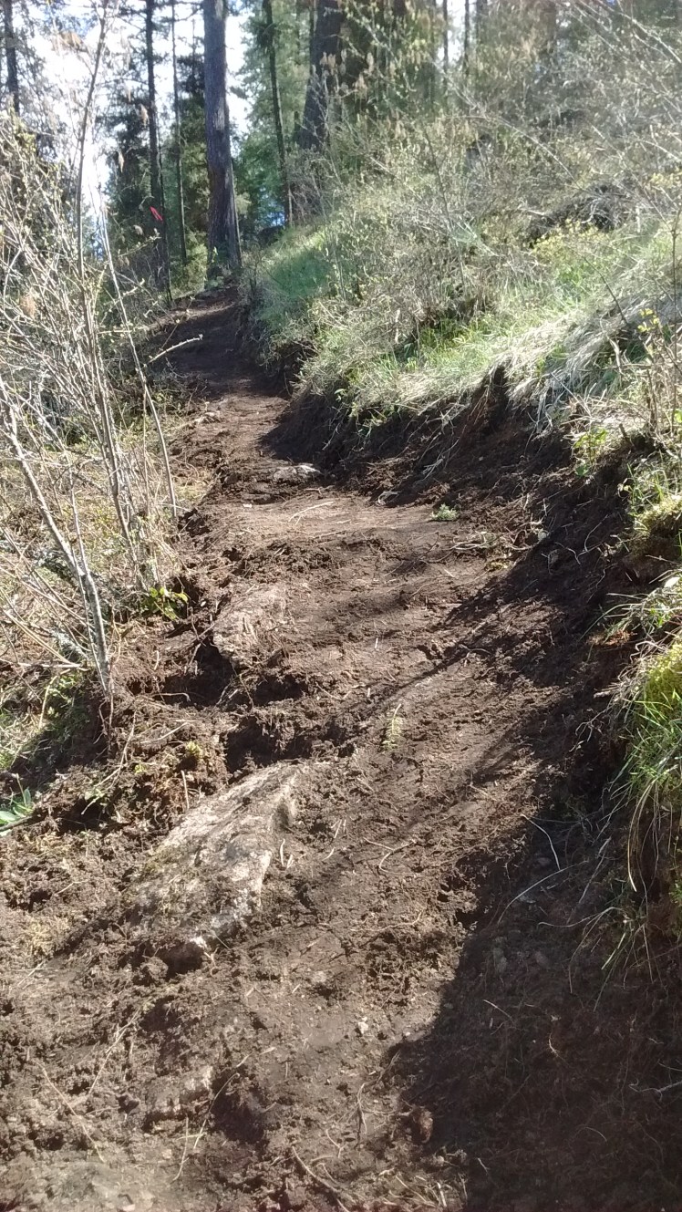 PFCF Connector II middle leg