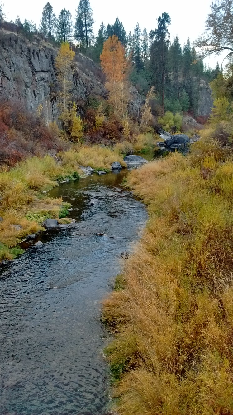 IMG_20181024_172220066_HDR