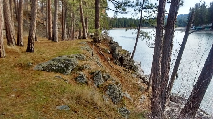 IMG_20181231_111331975_HDR