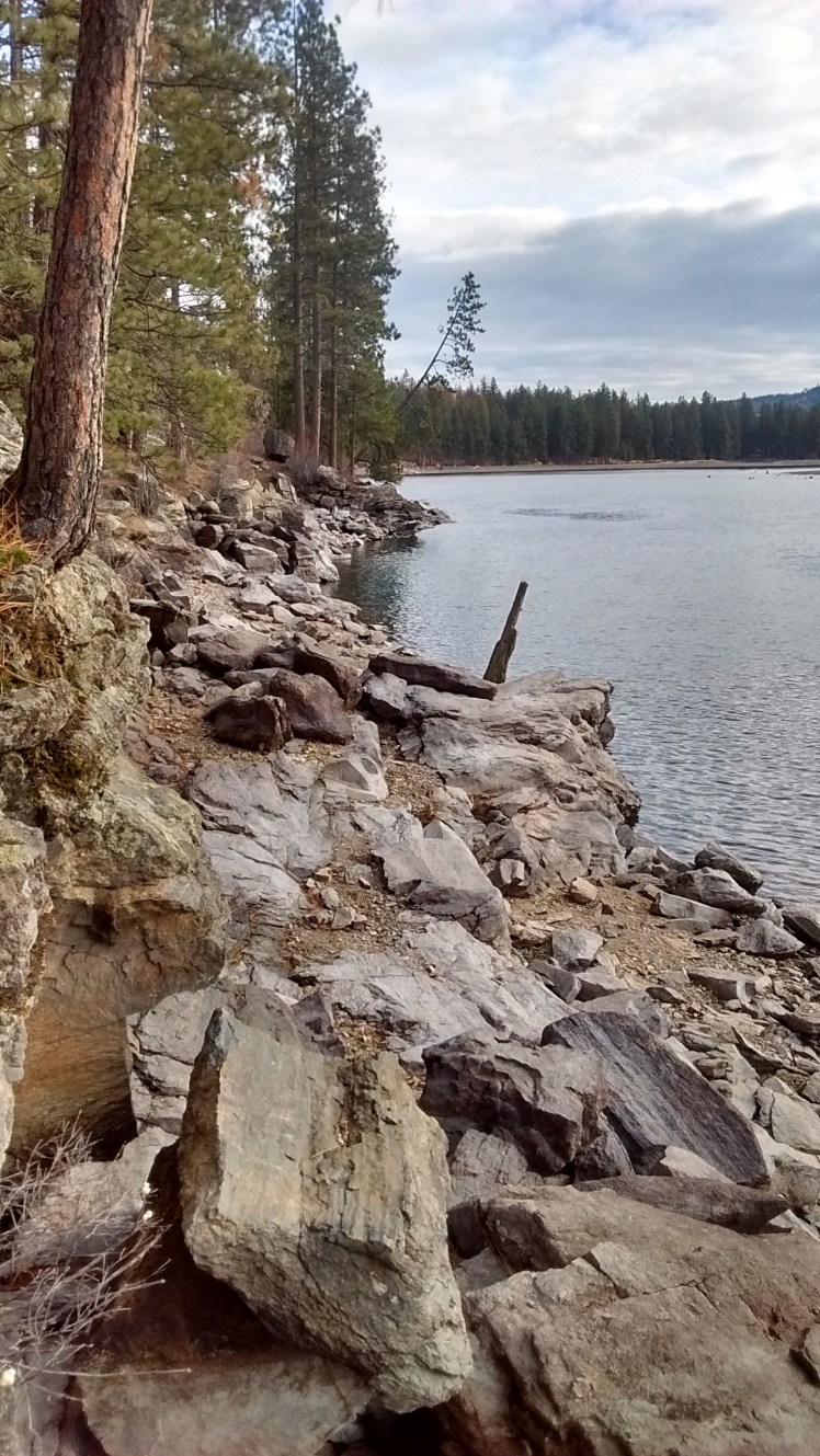 IMG_20181231_111404231_HDR